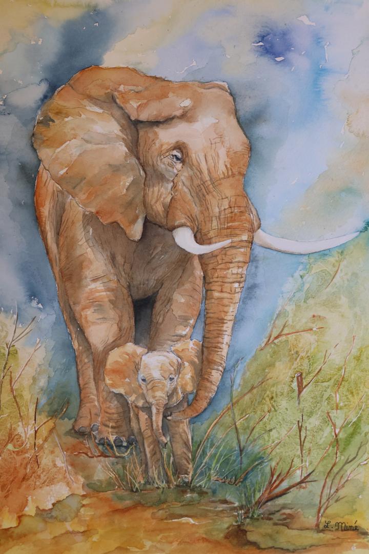 L'Elephant et son éléphanteau 